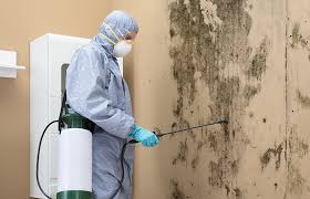 Forensic Mold Investigation in Streetsboro, OH